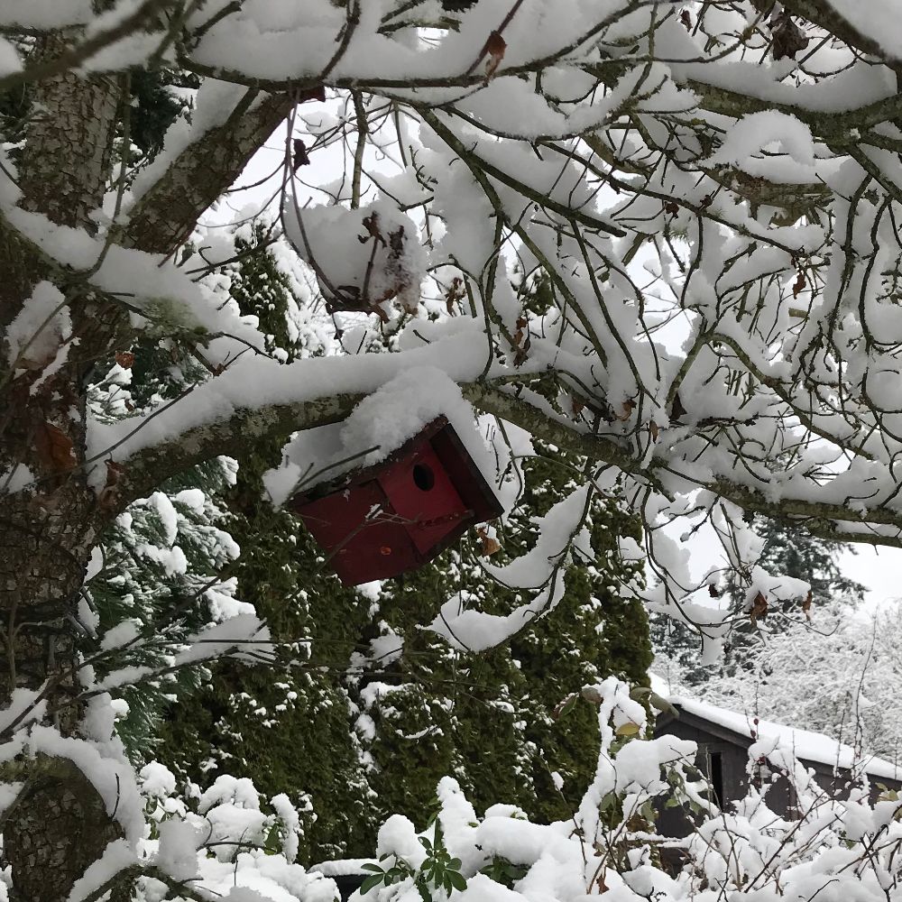 Meet your Posher, Sheryl